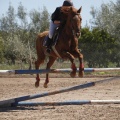 Castellón, Club Hípico Mediterráneo de Burriana