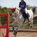 Castellón, Club Hípico Mediterráneo de Burriana