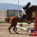 Castellón, Club Hípico Mediterráneo de Burriana