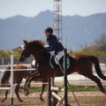 Castellón, Club Hípico Mediterráneo de Burriana