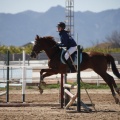 Castellón, Club Hípico Mediterráneo de Burriana