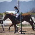 Castellón, Club Hípico Mediterráneo de Burriana