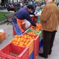 Mercat de la Taronja 2013