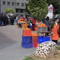 Mercat de la Taronja 2013