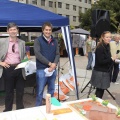 Mercat de la Taronja 2013