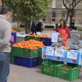 Mercat de la Taronja 2013