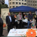 Mercat de la Taronja 2013