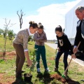 Plantación árboles