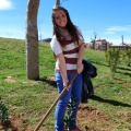 Plantación árboles