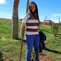 Plantación árboles