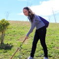 Plantación árboles