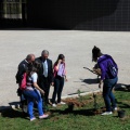 Plantación árboles
