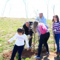 Plantación árboles