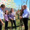 Plantación árboles