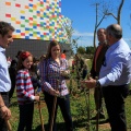 Plantación árboles