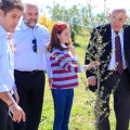 Plantación árboles