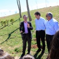 Plantación árboles
