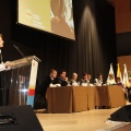 Castellón, 2013