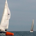 Regata Magdalena