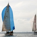 Regata Magdalena
