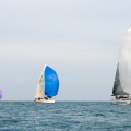 Regata Magdalena