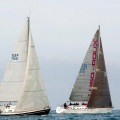Regata Magdalena