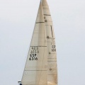 Regata Magdalena