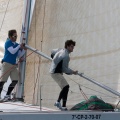 Regata Magdalena