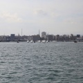 Regata Magdalena