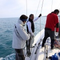 Regata Magdalena