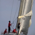 Regata Magdalena
