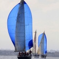 Regata Magdalena