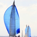 Regata Magdalena