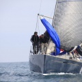 Regata Magdalena