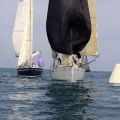Regata Magdalena