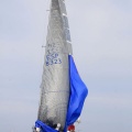 Regata Magdalena