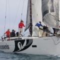 Regata Magdalena