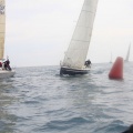 Regata Magdalena
