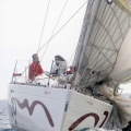Regata Magdalena
