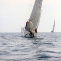 Regata Magdalena