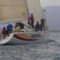 Regata Magdalena