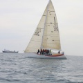 Regata Magdalena