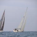 Regata Magdalena