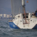 Regata Magdalena