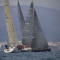 Regata Magdalena