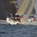 Regata Magdalena