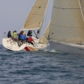Regata Magdalena