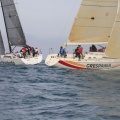 Regata Magdalena