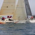 Regata Magdalena