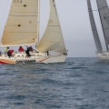 Regata Magdalena